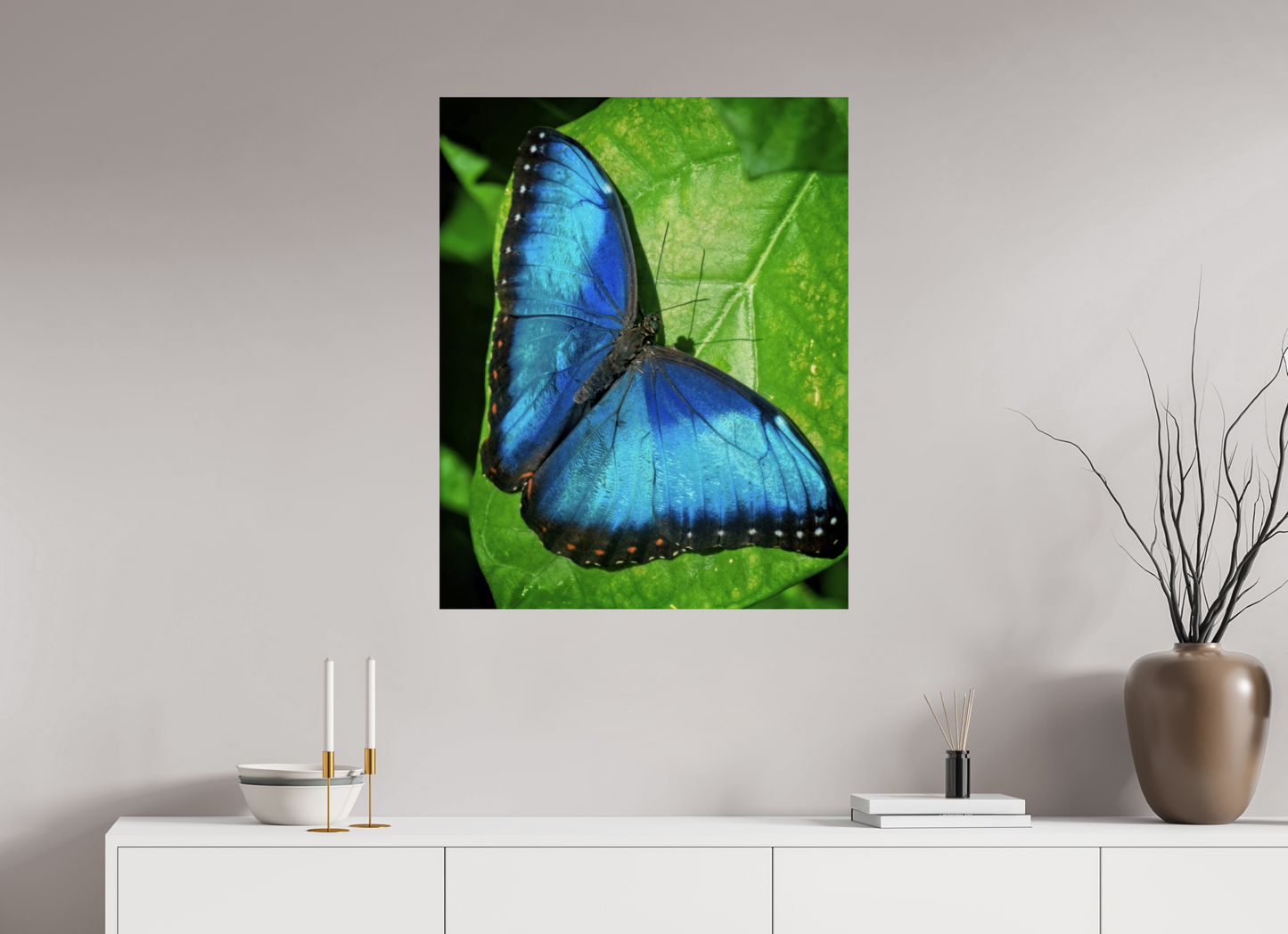 70 x 87.7 cm, Metal Blue morpho, Butterfly Calgary Zoo Alberta