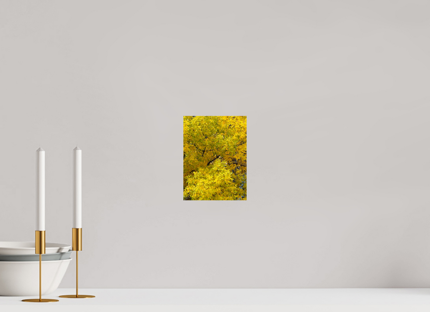 15 x 20 cm, Photo Print On Fuji Crystal DP II Autumn Trees