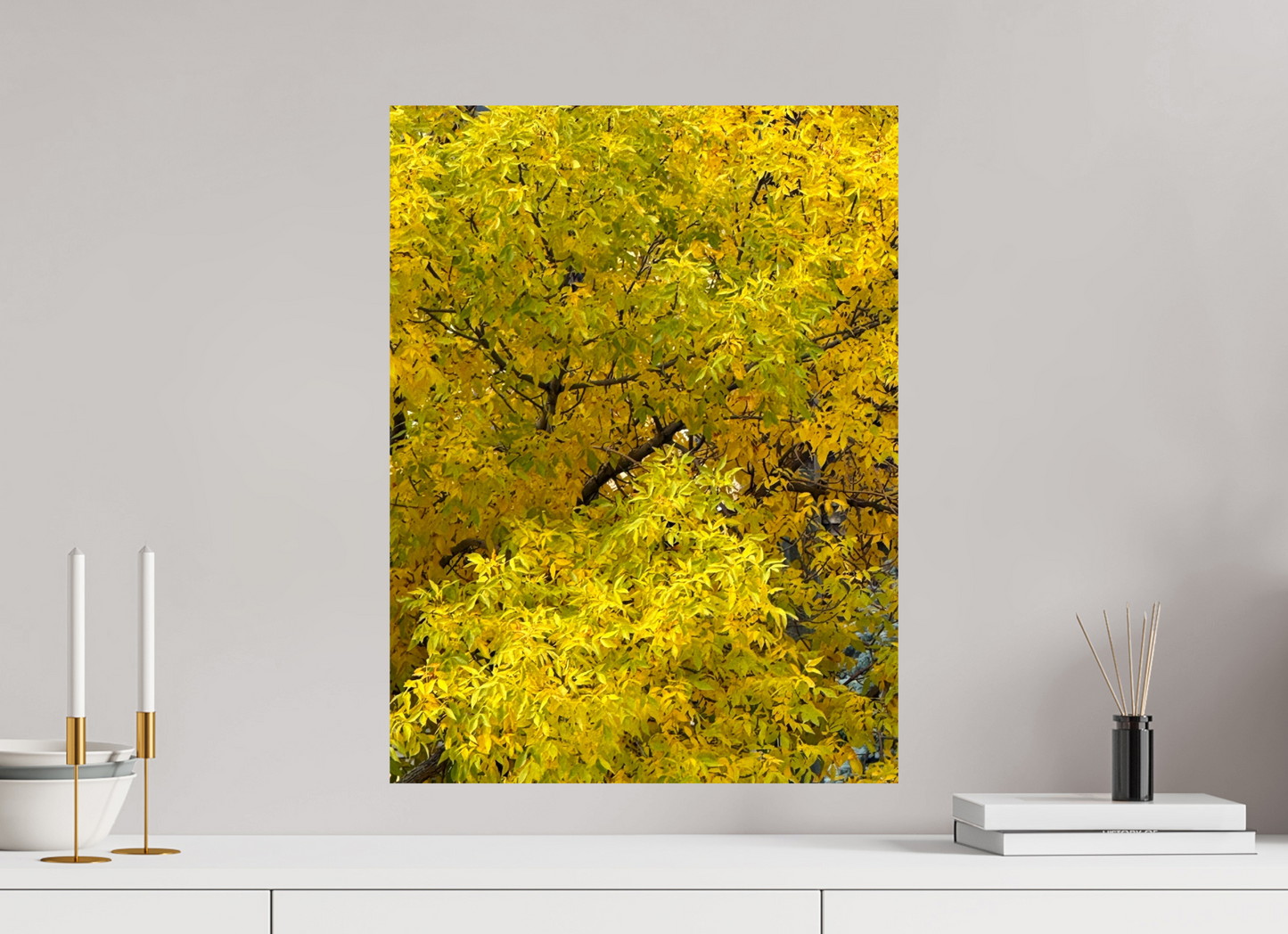 45 x 60 cm, Photo Print On Fuji Crystal DP II Autumn Trees