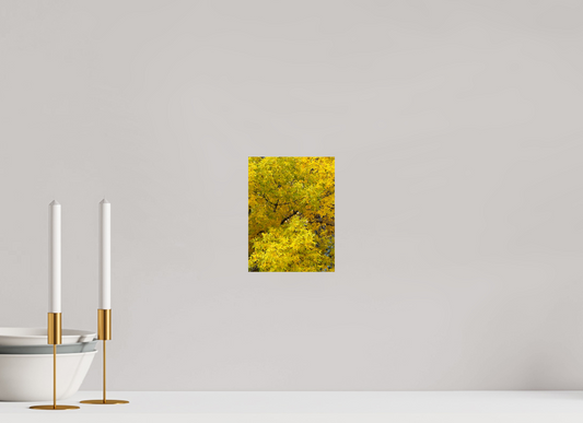 15 x 20 cm, Metal Autumn Trees