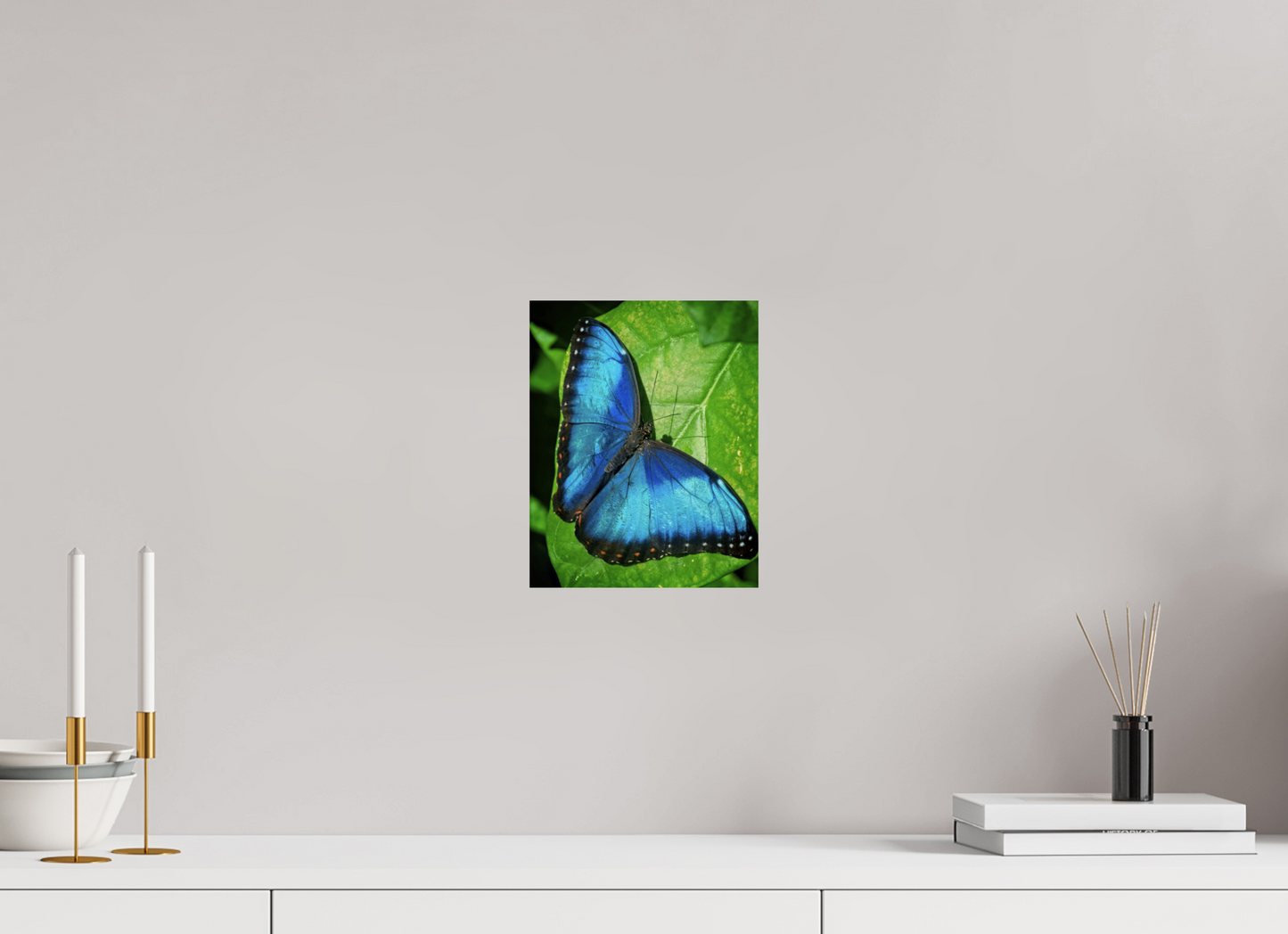 20 x 25.1 cm, Metal Blue morpho, Butterfly Calgary Zoo Alberta