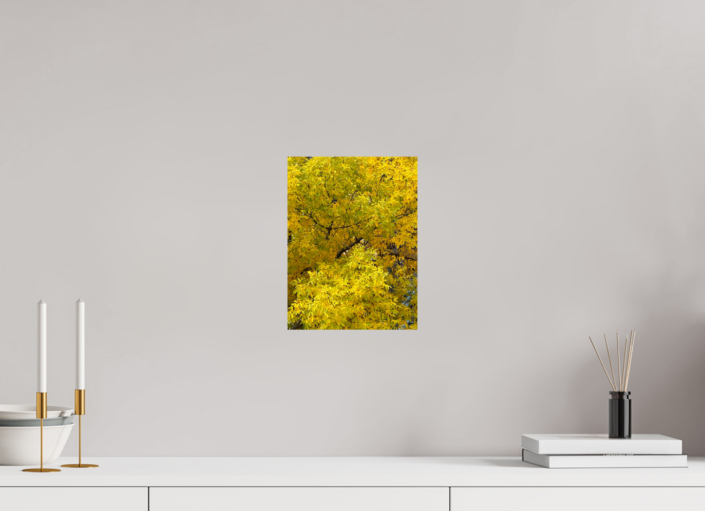 21 x 28 cm, Photo Print On Fuji Crystal DP II Autumn Trees