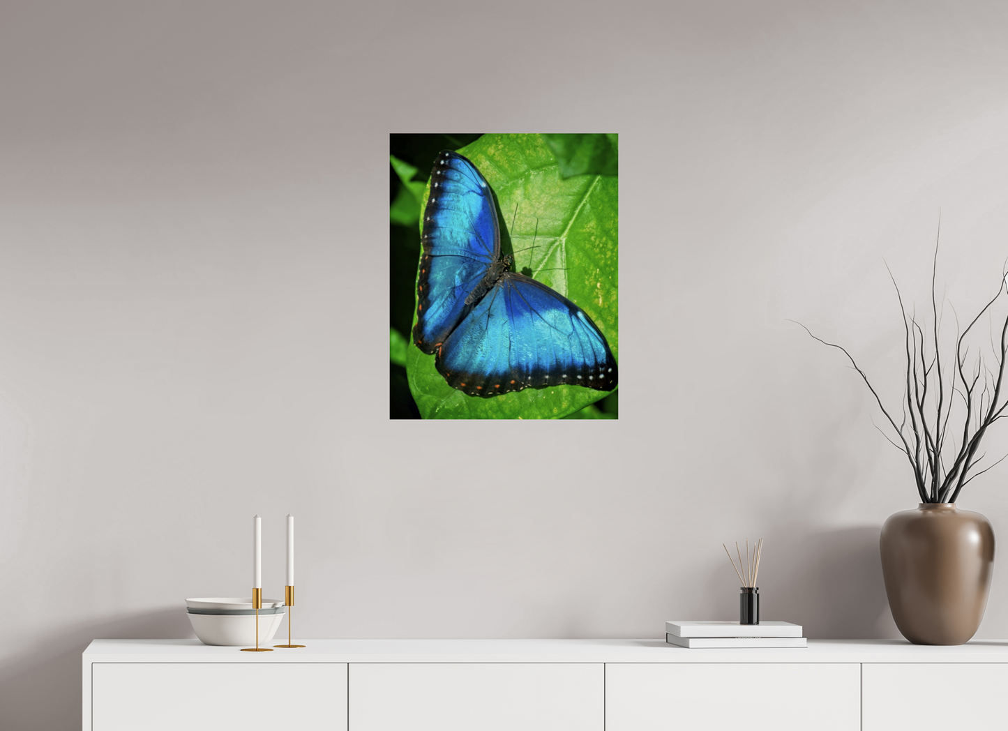 50 x 62.6 cm, Metal Blue morpho, Butterfly Calgary Zoo Alberta