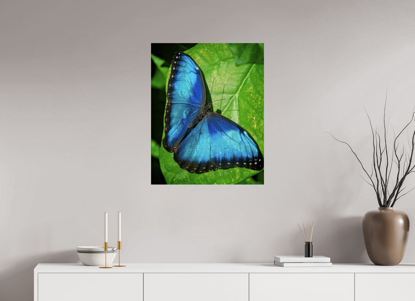 60 x 75.2 cm, Metal Blue morpho, Butterfly Calgary Zoo Alberta