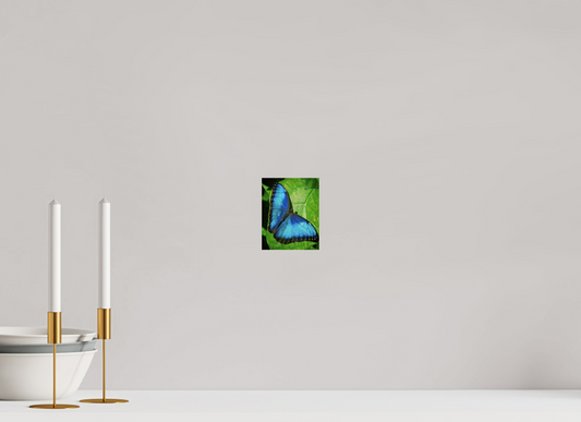 10 x 12.5 cm, Metal Blue morpho, Butterfly Calgary Zoo Alberta
